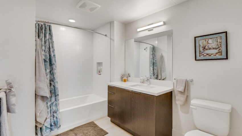 llewellyn apartment bathroom